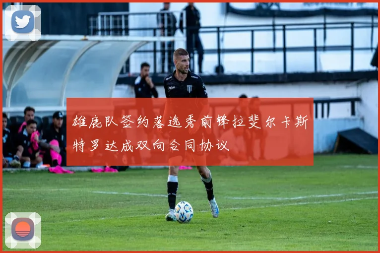 雄鹿队签约落选秀前锋拉斐尔卡斯特罗达成双向合同协议